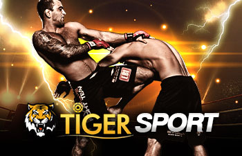 tiger-sport